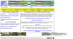 Desktop Screenshot of geolog.cz